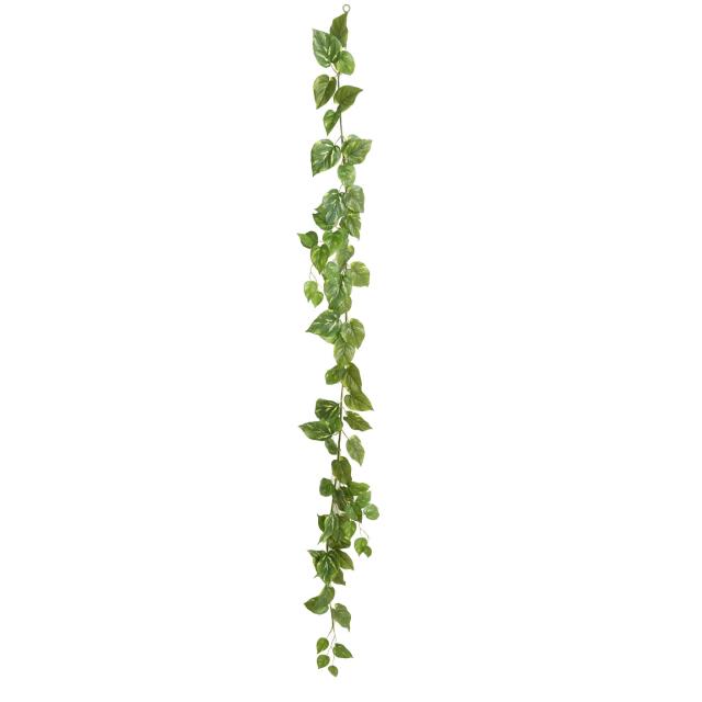 Pothos Artificiel Guirlande