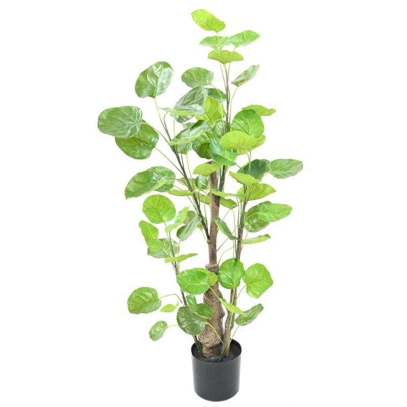 Aralia Artificiel Fabian