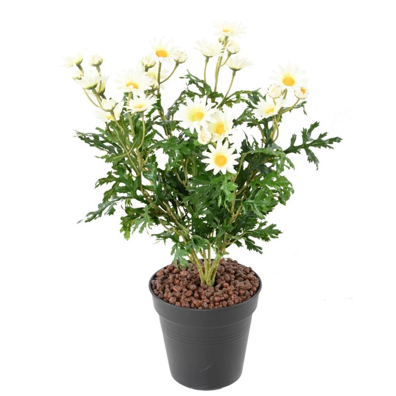 Marguerite Artificielle Anthemis
