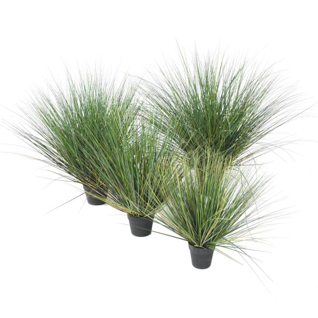 Onion Grass Artificiel NEW Round