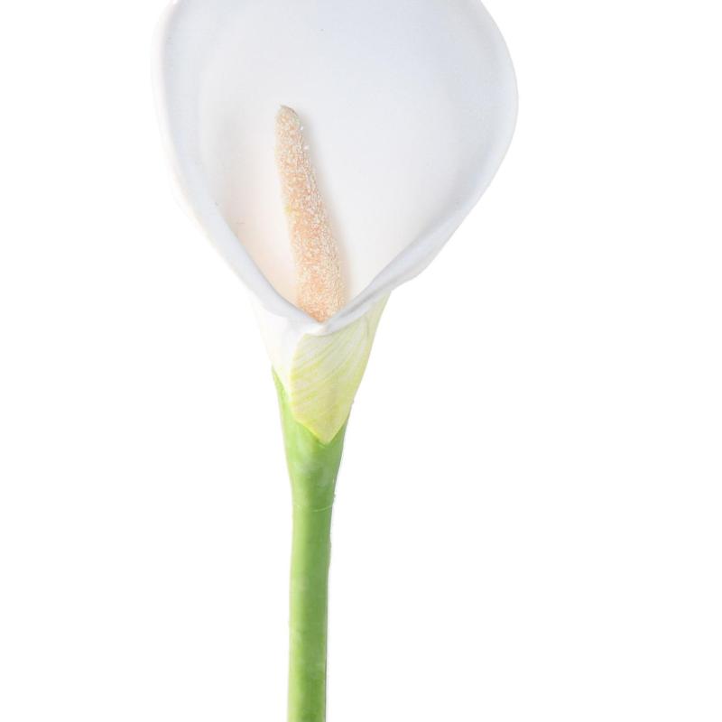 Arome Artificiel (arum)