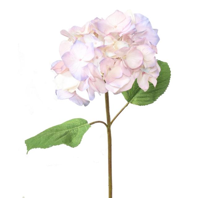 Hortensia Artificiel Tete