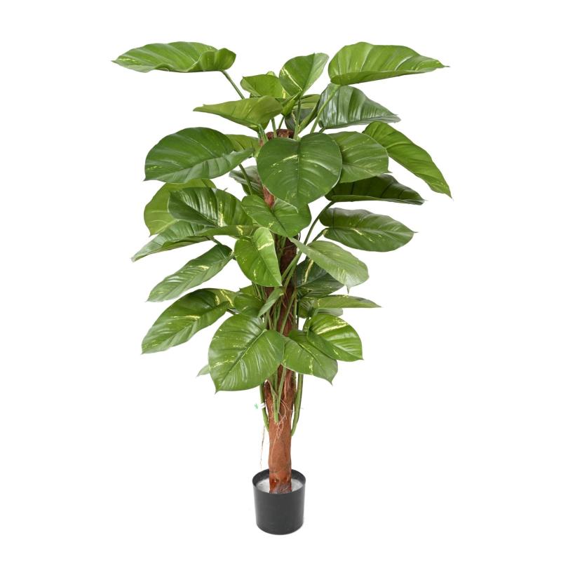 Pothos Artificiel Géant