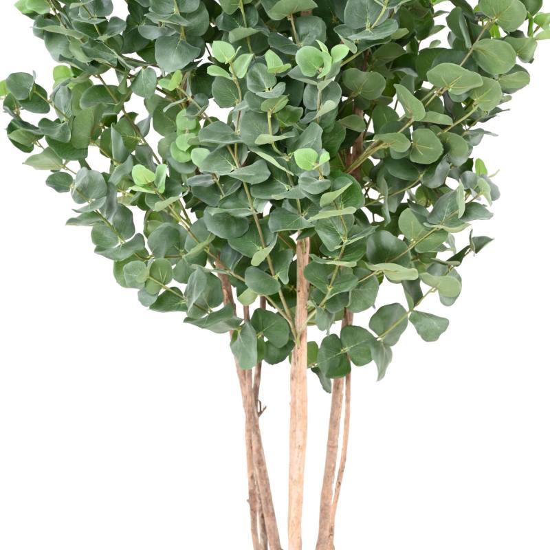 Eucalyptus Artificiel Gunnii Buisson