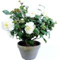 Camelia Artificiel Pot en Terre