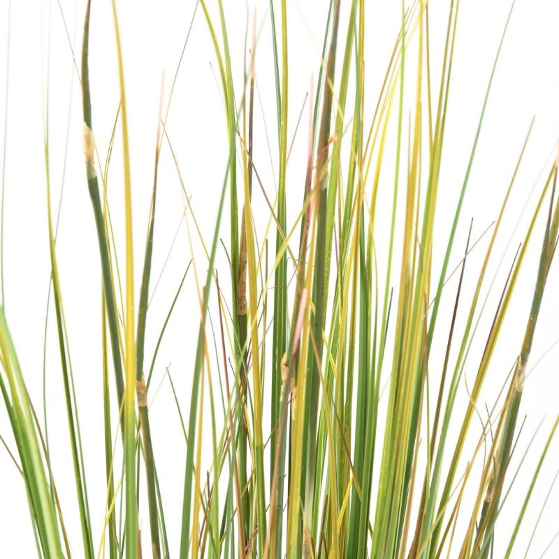 Onion Grass Artificiel Bambou