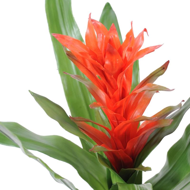 Guzmania Artificiel