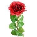 Rose 66 Artificielle