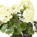 Geranium UV Artificiel