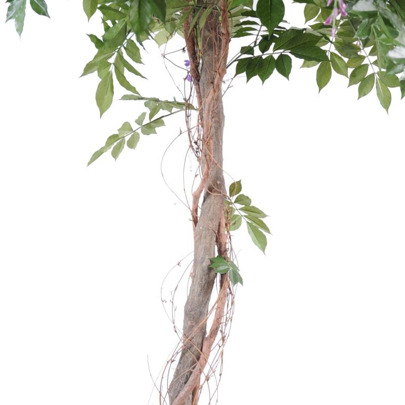 Glycine Artificiel Round