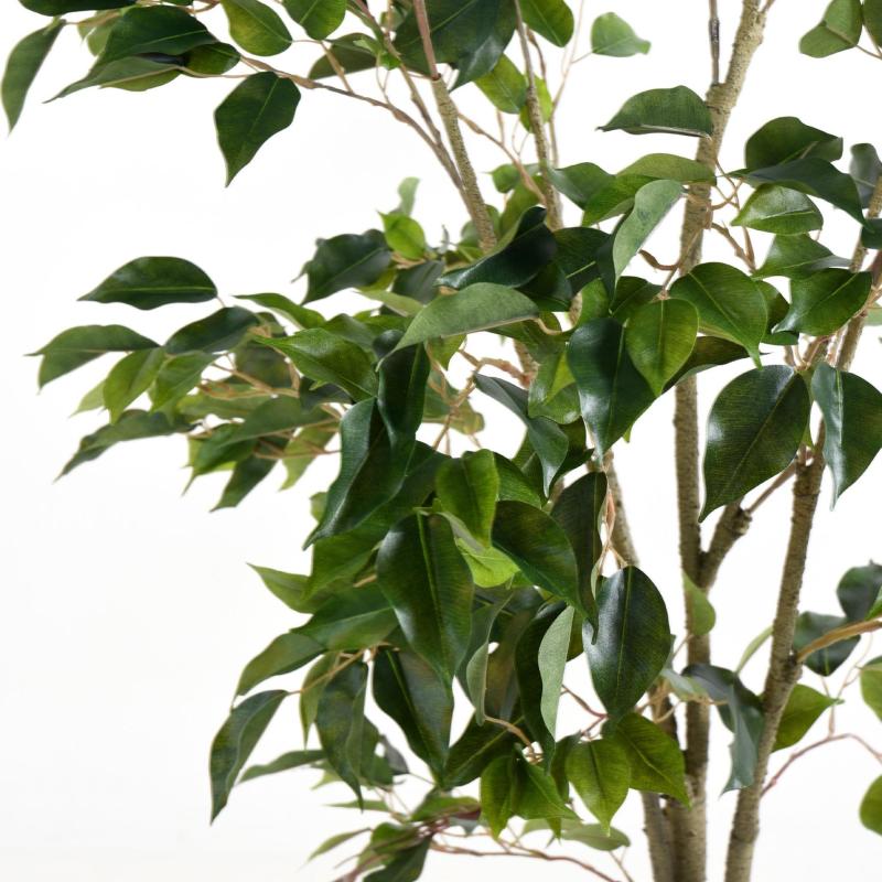 Ficus Artificiel