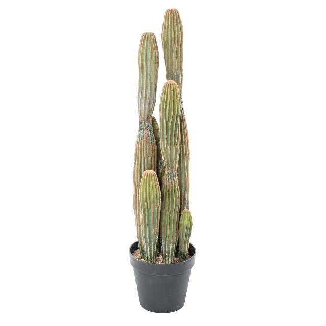 Cactus Artificiel Finger X