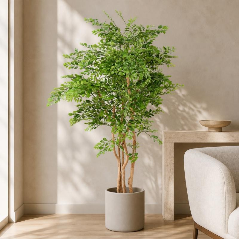 Acacia Artificiel