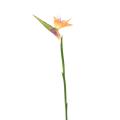 Strelitzia 80 Artificiel
