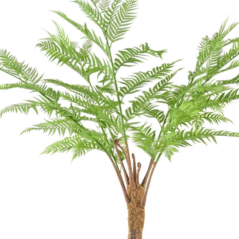 Dicksonia Artificielle (fougere)