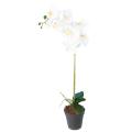 Phalaenopsis Artificielle 9