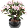 Impatiens Artificiel Piquet