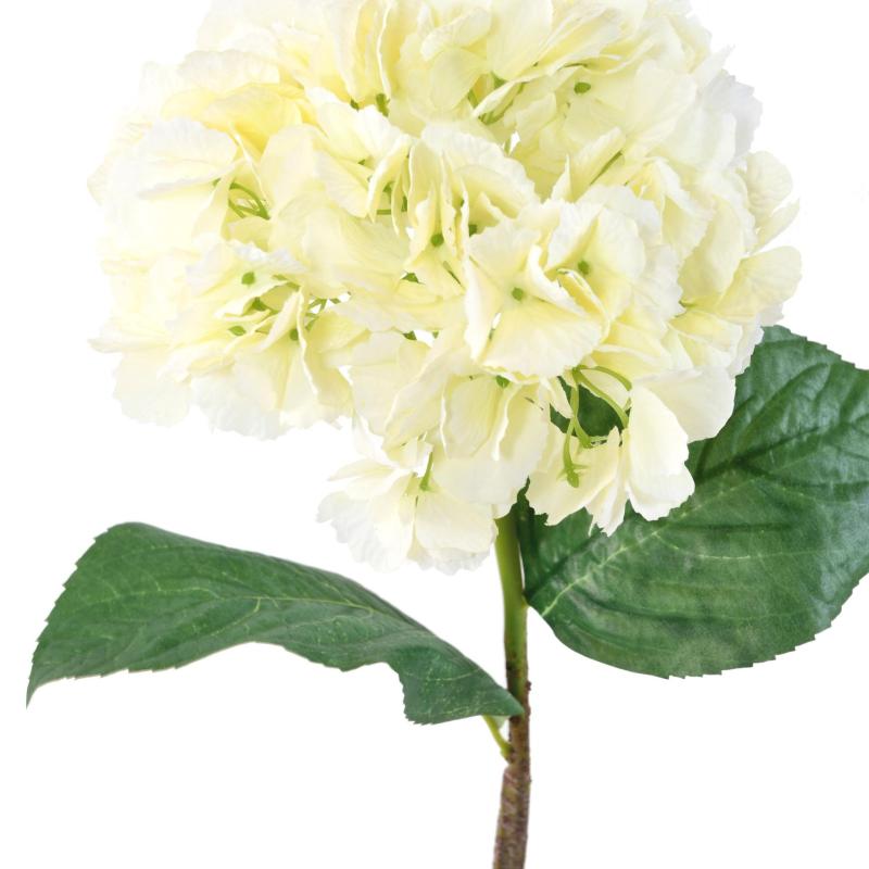 Hortensia Artificiel