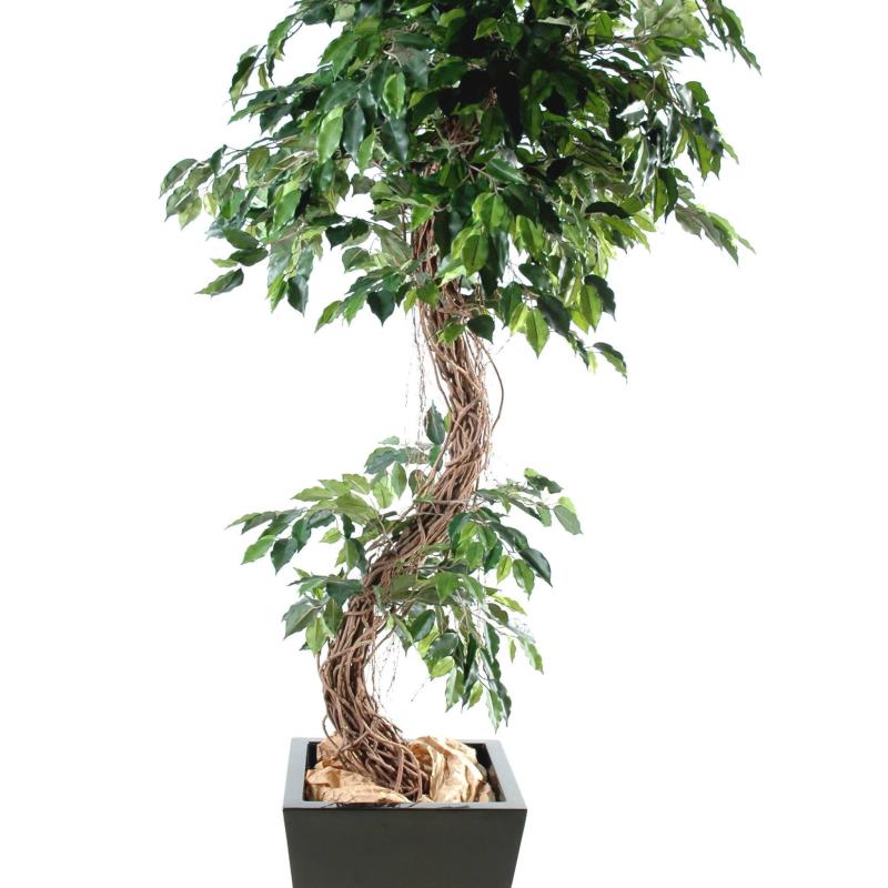 Ficus Artificiel S