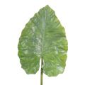 Alocasia Artificiel Feuille Géante
