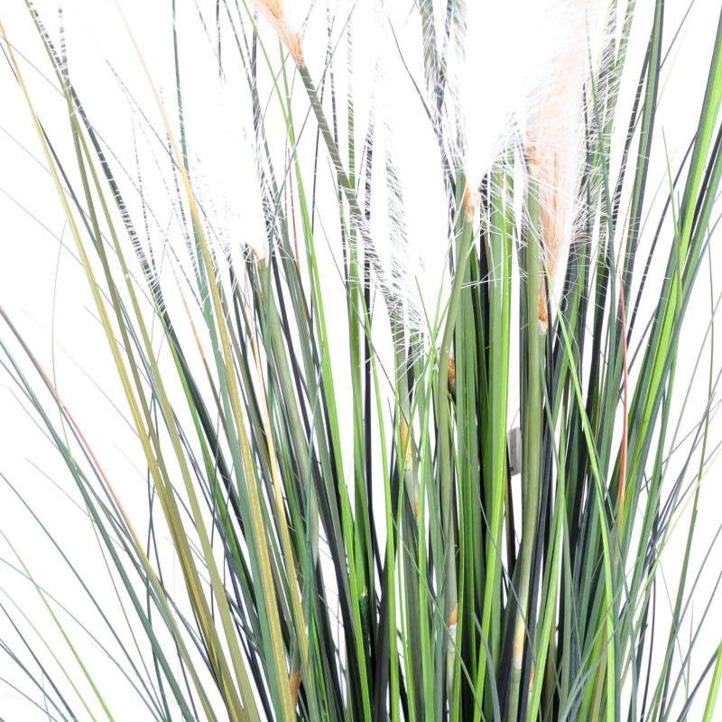 Carex Artificiel GF