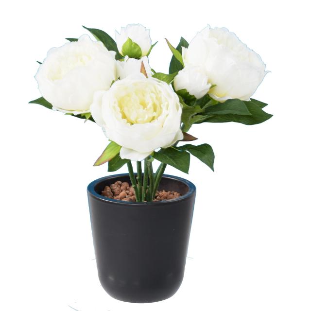 Pivoine Artificielle *3