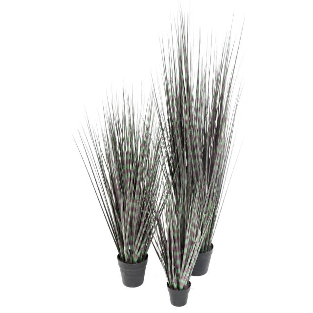 Miscanthus Artificiel Zebrina