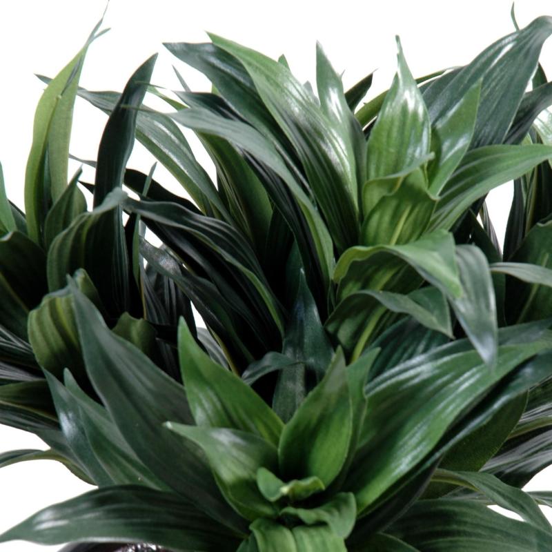 Dracena Artificiel Fragans