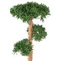Podocarpus Artificiel Nuage