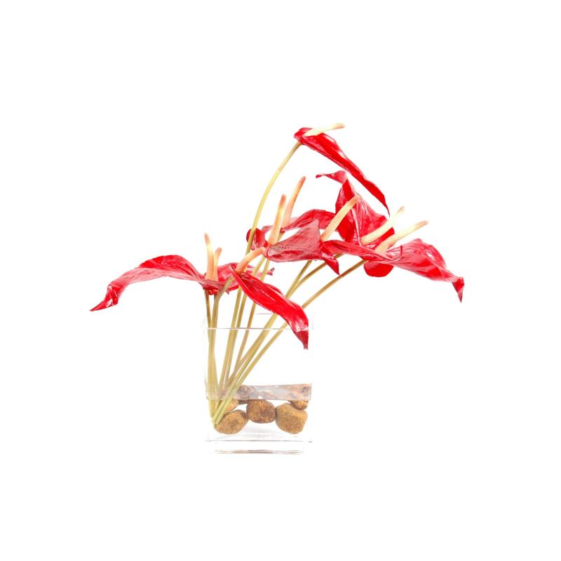 Composition Artificielle Anthurium