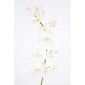 Orchidée Artificielle Phalaenopsis Tige *10 Fleurs