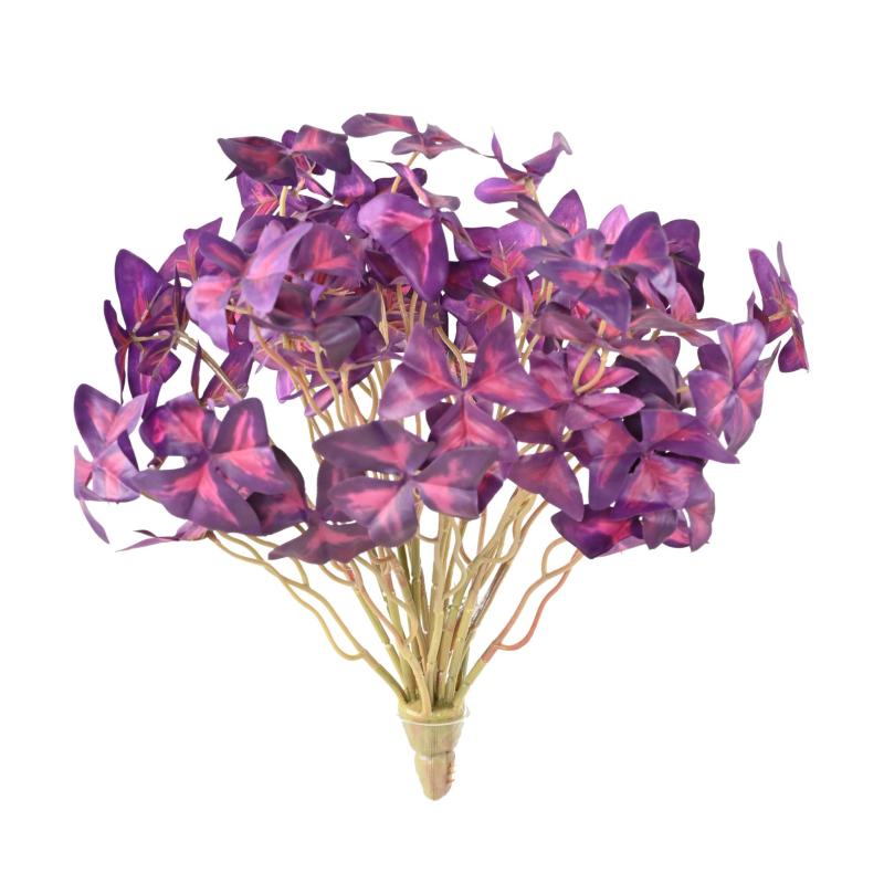 Oxalis (tréfle) Artificiel