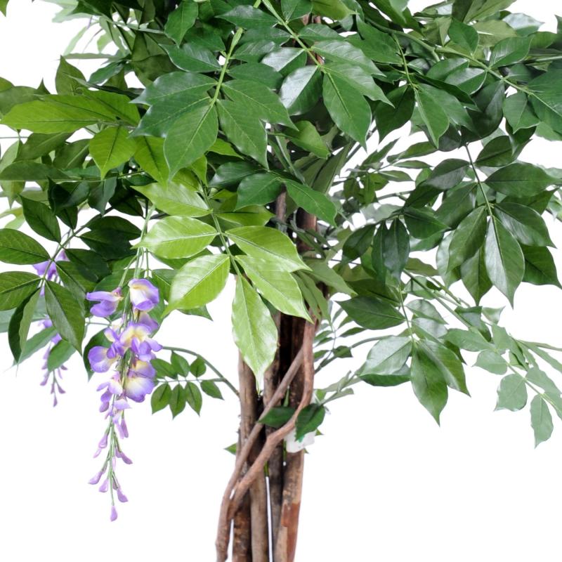 Glycine Artificielle Multi TREE