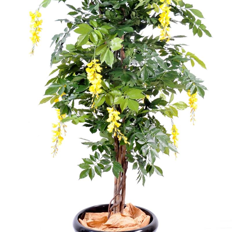 Glycine Artificielle Multi TREE