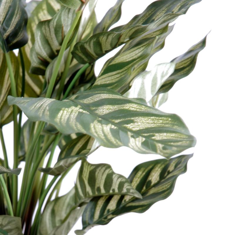 Maranta Artificielle Calathea Makoyana*40f