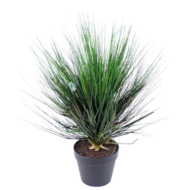 Onion Grass Artificiel Round