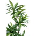 Drecena Artificiel Fragans "janet Craig"
