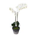 Phalaenopsis Artificielle Potted 85