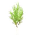 Asparagus Artificiel Fin Piquet