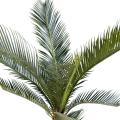 Cycas Artificiel Baby 8 Palmes