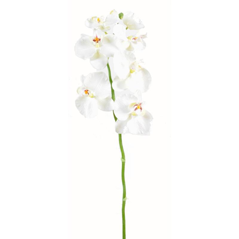 Phalaenopsis Artificiel Tige Medium *6