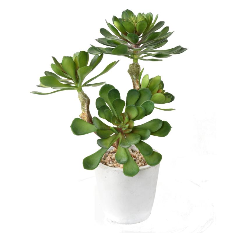 Succulente Artificielle en Pot 30