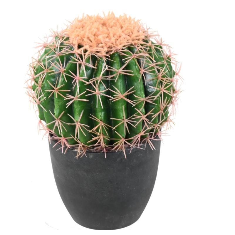 Cactus Artificiel Echino