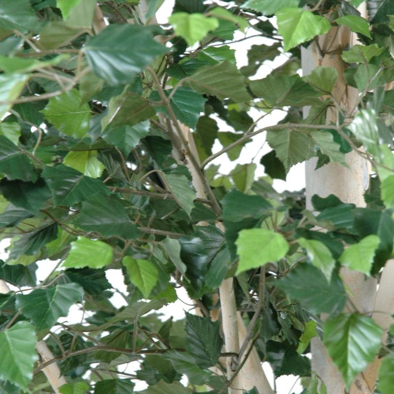 Bouleau Artificiel Arbre