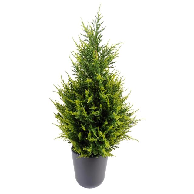 Cyprès Artificiel Junipérus