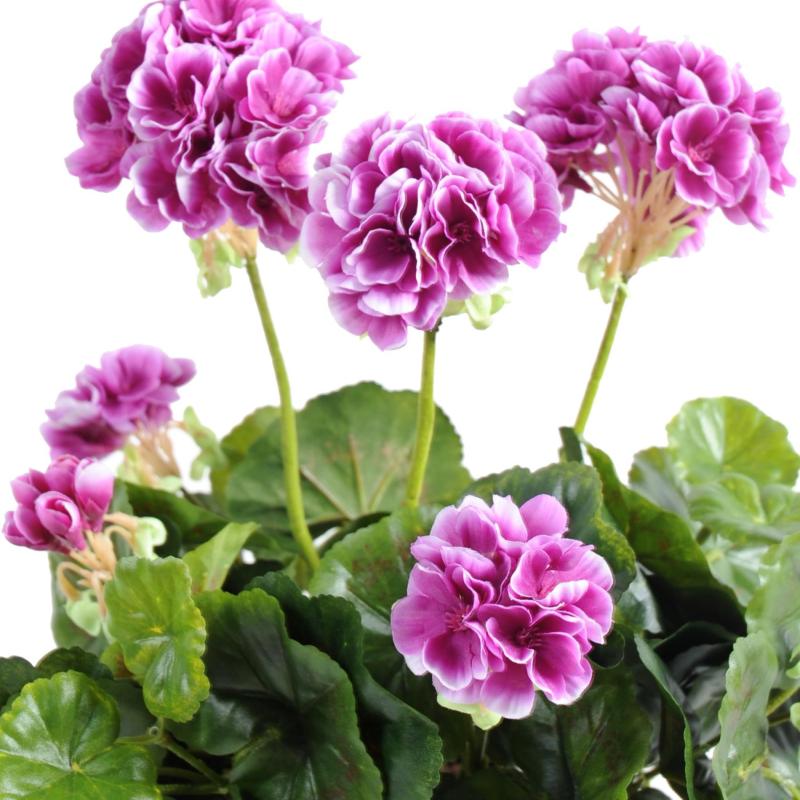 Geranium Artificiel 30 CM