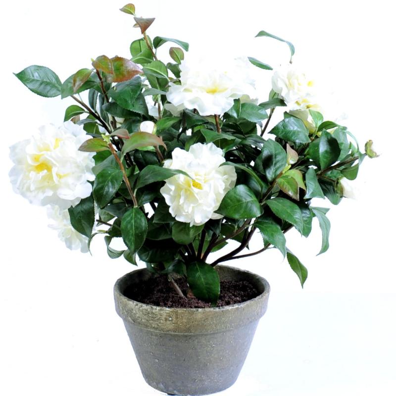 Camelia Artificiel Pot en Terre