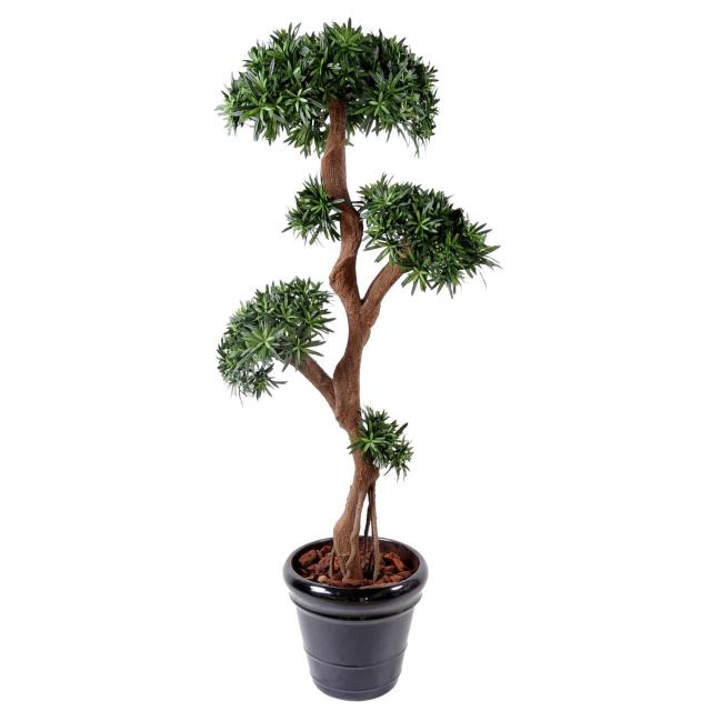Podocarpus Artificiel TREE