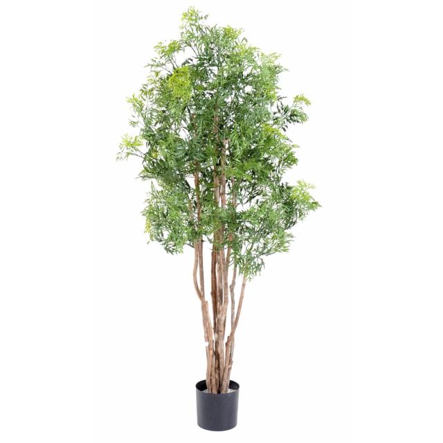 Aralia Artificiel Ming Nitida 10 Troncs