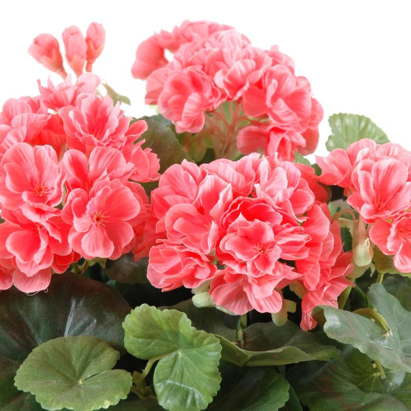 Geranium Artificiel 25 CM